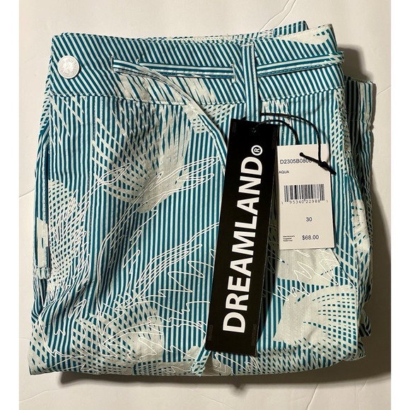 Other - Dreamland Men's Aqua‎ Stripe Shell Shorts Size 30